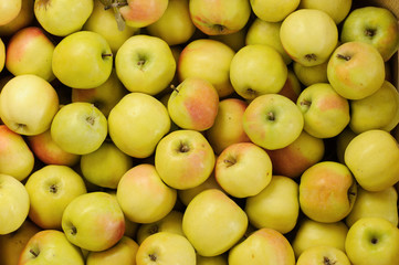 Wooden crate box full of fresh apples