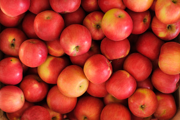Wooden crate box full of fresh apples