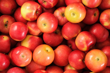 Wooden crate box full of fresh apples