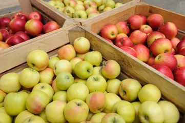Wooden crate box full of fresh apples