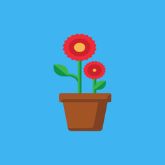 flower in a pot icon. flat design
