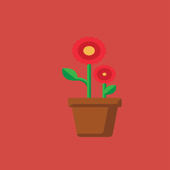 flower in a pot icon. flat design