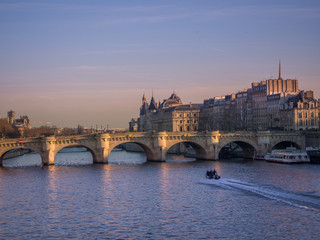 Fototapeta na wymiar View on Paris France at dusk
