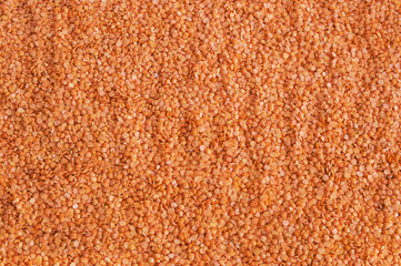 Lentils Orange Texture