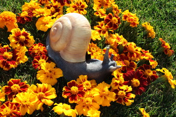 Snail sculpture between tagetes