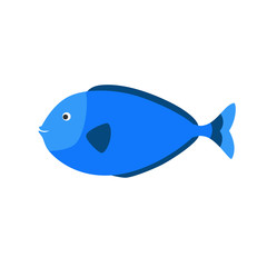 blue aquarium exotic fish tropical