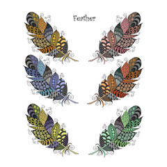 Hand drawn zentangle feather on white background