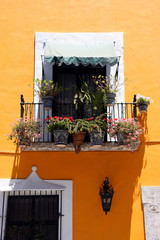 Fototapeta na wymiar Colonial balcony. View on a typical urban scene with closed French window, Mexico