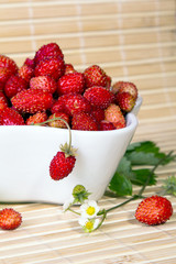 Wild strawberries in a small bowl
