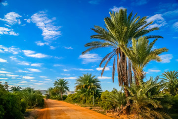 Fototapeta na wymiar Rural african road