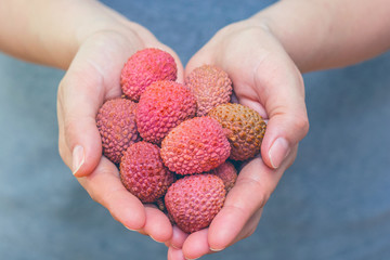 Lechee, lychee, lychees, litchi, fruits. Woman hands holding fresh fruits colorful vibrant purple, pink, orange and green colors. Concept for exotic super food nutrition healthy lifestyle