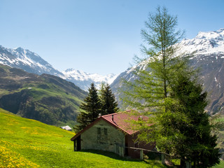 Andermatt, pastures and mountains