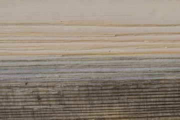 natural wood texture (firewood)