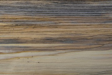 natural wood texture (firewood)