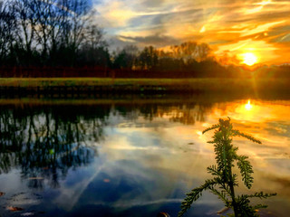 Sunset reflections