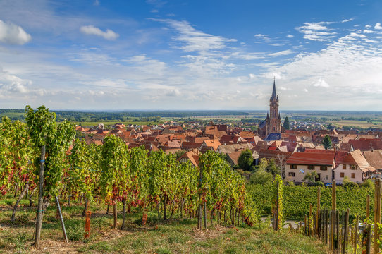 View of  Dambach la Ville, Alsace, France