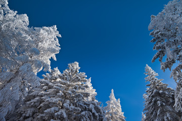 Słoneczny zimowy dzień w Krynicy-Zdrój. Sunny winter day in polish mountain in Krynica-Zdroj.