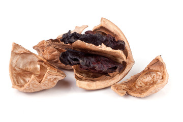 spoiled walnut isolated on a white background closeup