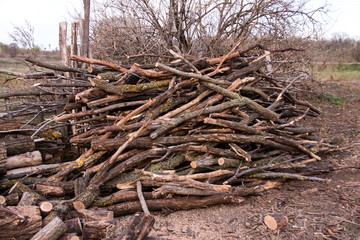 Pile of firewood. Preparation for the winter in the village