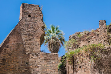 Obraz premium Nymphaeum of Alexander Severus at Piazza Vittorio. Rome. Italy.