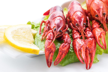 plate of boiled crayfish