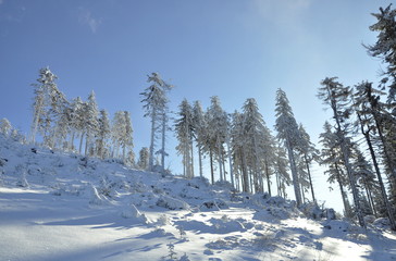 Winter fairytale in Beskydy mountains in Czech Republic, with a lot of snow and blue sky