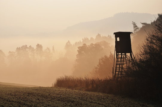 Autumn sunrise atmosphere with hunting high stand in Czech Republic