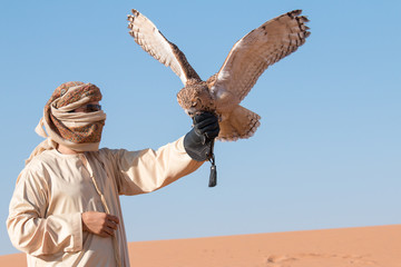 Jonge mannelijke farao-oehoe (bubo ascalaphus) tijdens een woestijnvalkerijshow in Dubai, Verenigde Arabische Emiraten.