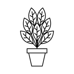 plant in pot isolated icon vector illustration design