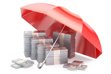 Packs of dollars with umbrella, financial insurance and business © alexlmx