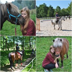 Przyjaźń nastoletniej  dziewczyny z końmi