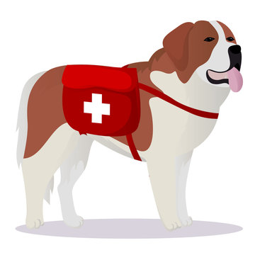 St Bernard dog lifesaver
