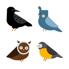 Birds vector set illustration isolated