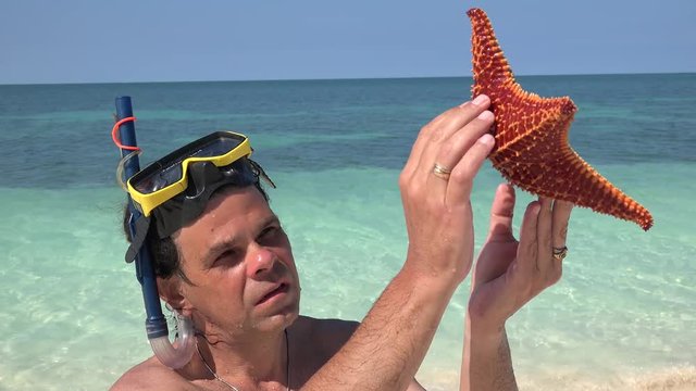 Snorkeler considering big starfish (Oreaster reticulatus) on the shore. Caribbean, Cuba.