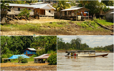 Collage of amazonia,Peru (my photos) 