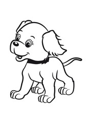 Dog playing baby cute