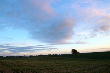 Obraz premium Beautiful colors of autumn sky