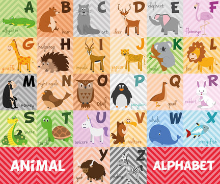 Cute cartoon zoo illustrated alphabet with funny animals. English alphabet. Learn to read. Isolated Vector illustration.