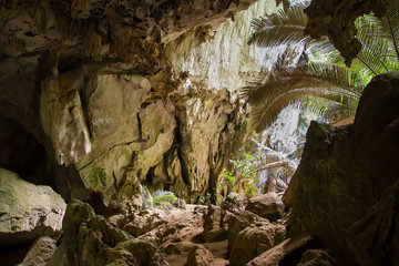 Unseen in Thailand. Hup Pa Tat Forest the Central Valley.Uthai T