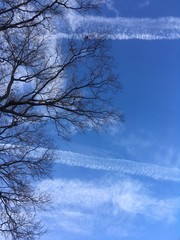 large contrail clouds in blue winter sky