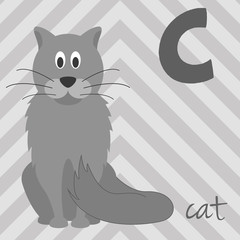 Cute cartoon zoo illustrated alphabet with funny animals: C for Cat. English alphabet. Learn to read. Isolated Vector illustration.