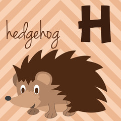 Cute cartoon zoo illustrated alphabet with funny animals: H for Hedgehog. English alphabet. Learn to read. Isolated Vector illustration.