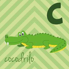Cute cartoon zoo illustrated alphabet with funny animals. Spanish alphabet: C for Cocodrilo. Learn to read. Isolated Vector illustration.