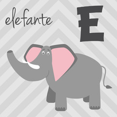 Cute cartoon zoo illustrated alphabet with funny animals. Spanish alphabet: E for Elefante. Learn to read. Isolated Vector illustration.