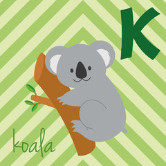 Cute cartoon zoo illustrated alphabet with funny animals. Spanish alphabet: K for Koala. Learn to read. Isolated Vector illustration. © asantosg