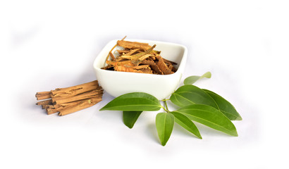 Cinnamon sticks and fresh leaves