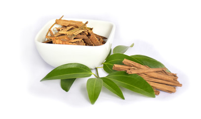 Cinnamon sticks and leves