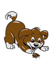 Dog baby cute ladybug