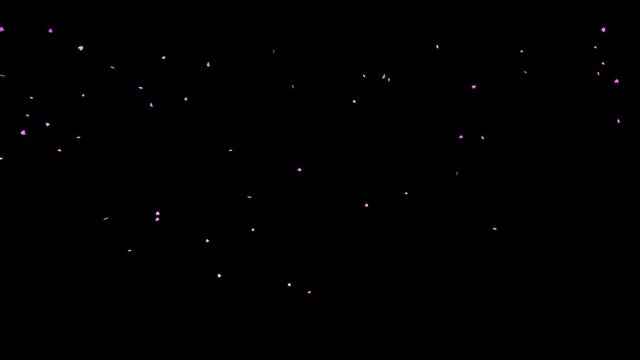 sakura blow of blossoms 003