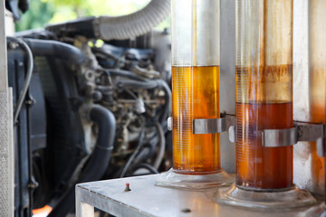 Oil palm biofuel biodiesel in tubes. - obrazy, fototapety, plakaty